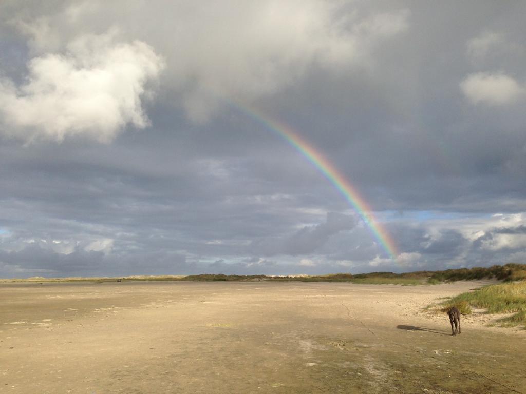 Apartment Riposo West-Terschelling